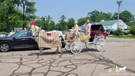 Indian Wedding Carriage during a Baraat in Chesterland, OH