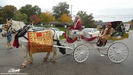 Groom riding in the Indian Baraat Carriage at La Centre in Westlake, OH