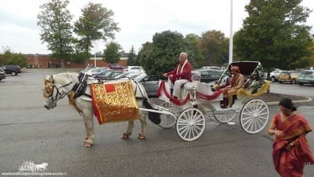 Groom seated in the Indian Wedding Carriage at La Centre in Westlake, OH