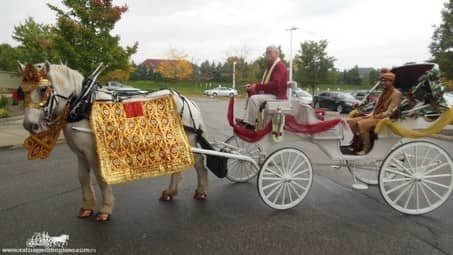 Groom making his entrance in the Indian Baraat Carriage at La Centre in Westlake, OH