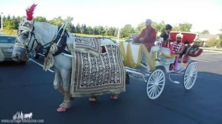 Groom and family riding in the Indian Baraat Carriage at La Centre in Westlake, OH