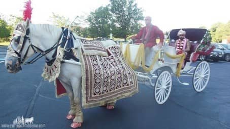 Groom posing in the Indian Wedding Carriage at La Centre in Westlake, OH