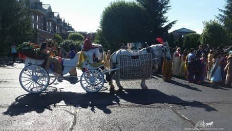 Groom and family on the Indian Baraat Carriage heading to the ceremony in Canonsburg, PA