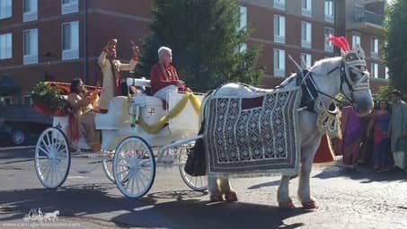 Groom and family arriving at the ceremony in the Indian Baraat Carriage in Canonsburg, PA