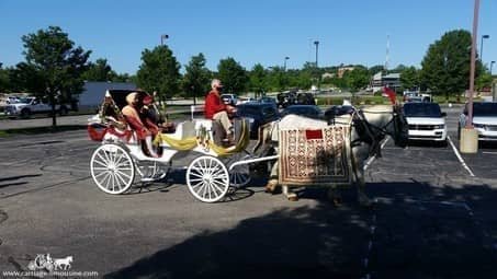 Indian Baraat Carriage leading a procession outside of Cleveland, OH