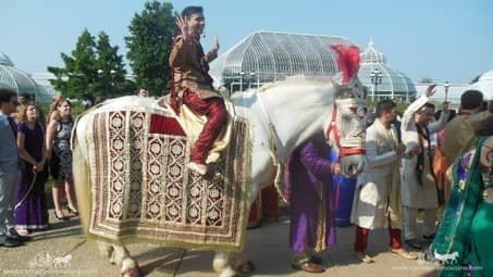 Groom riding our Indian Wedding Horse at Phipps Conservatory in Pittsburgh, PA