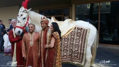 Groom on our Indian Baraat Horse at the Wyndham Grand Hotel in Pittsburgh, PA