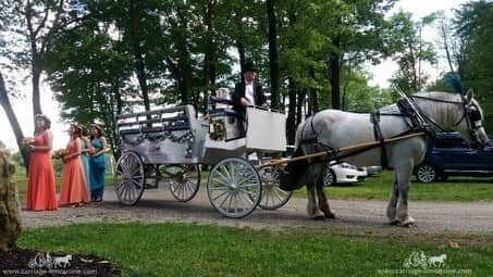 The Limousine Carriage arriving with the bridal party at Seven Springs Resort, PA