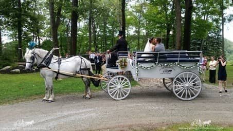 The bride and groom after the wedding at Seven Springs Resort, PA