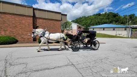 Princess carriage carrying a Lafeyette reanactor to his destination in Wheeling, WV