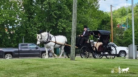 Princess carriage carrying a Lafeyette reanactor to his destination in Wheeling, WV