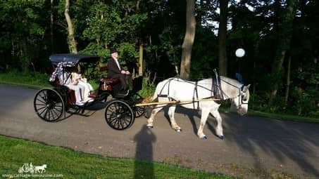 Princess Carriage at a wedding at Linden Hall in Dawson, PA