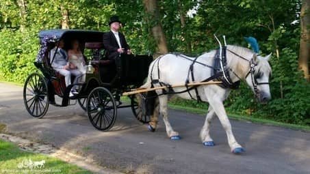 Our Princess Carriage at a wedding in Dawson, PA at Linden Hall