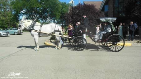 About to go for a ride with our Princess Carriage in Meridian, PA