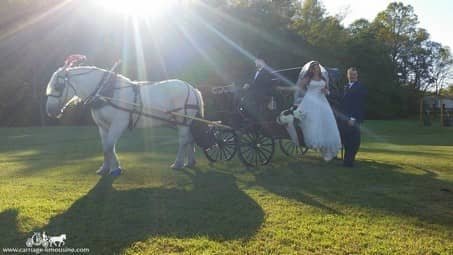 Our Princess Carriage at Varian Orchard in East Canton, OH