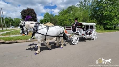 A grand entrance for the day care grads with our Stretch Victorian Carriage in Akron, OH