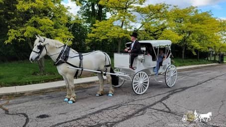 A Birthday party surprise with the Victorian Carriage in Mentor, OH