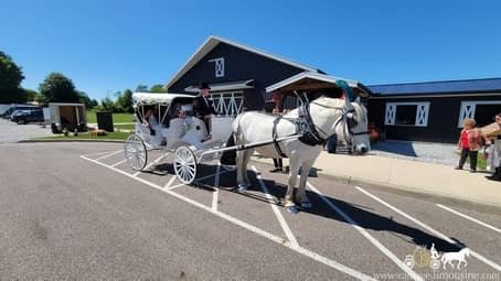 The couple going for a ride after their ceremony in Norton, OH