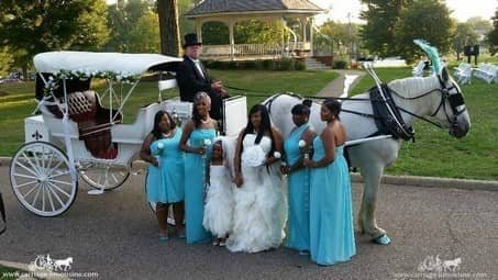 Bridal party poses with the Victorian Carriage at the Canton Civic Center in Canton, OH