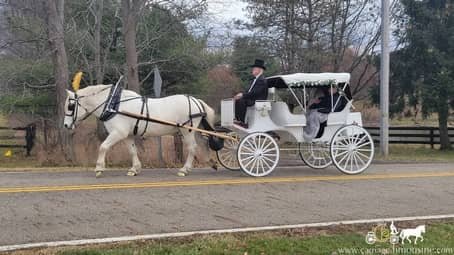 Victorian Carriage giving the anniversary couple a ride outside of Canton, OH