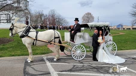 The newly weds and our Victorian Carriage after a wedding in Boardman, OH