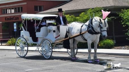 Before making a grand birthday entrance in our Victorian Carriage near Solon, OH