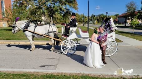 Newlyweds posing with the Victorian Carriage after their ceremony in Oberlin, OH