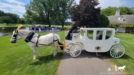Our hand crafted Royal Coach during a wedding in Warrem, OH